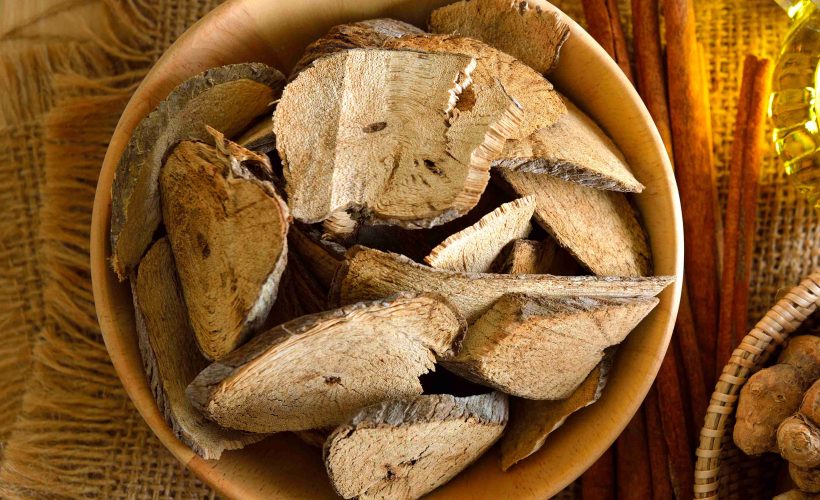 Tongkat Ali Butea Superba