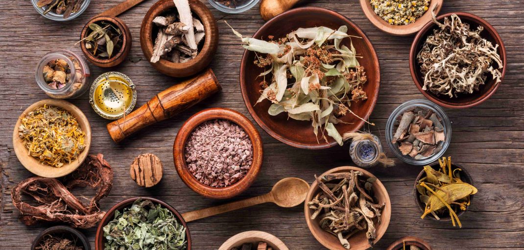 Tongkat Ali Extract Sourcing
