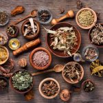 Tongkat Ali Extract Sourcing