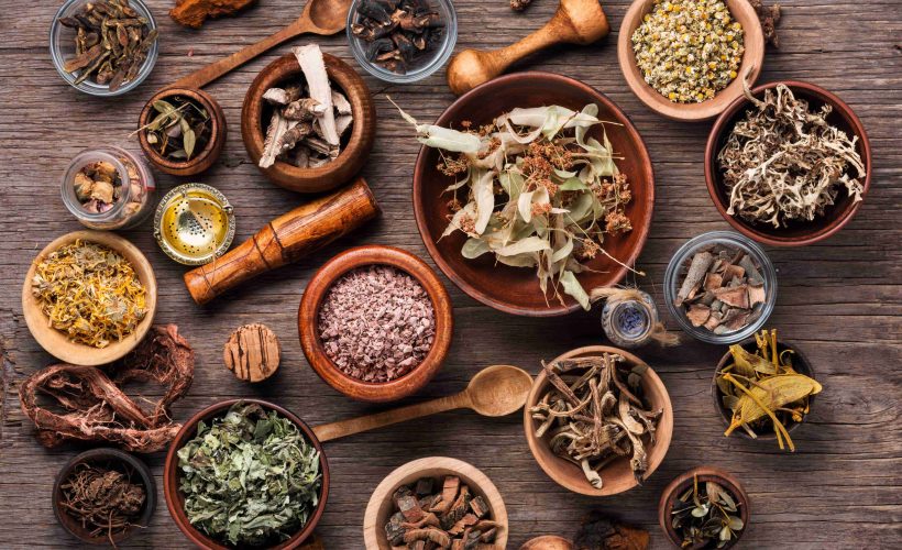 Tongkat Ali Extract Sourcing