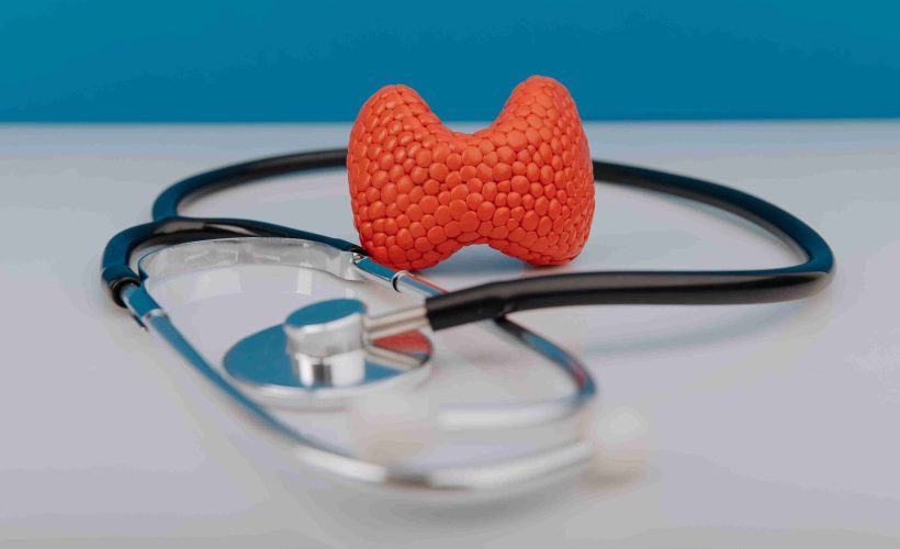Pueraria Mirifica and Thyroid Health